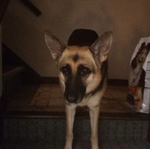 Meet your Posher, Aj